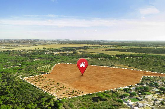 Why Buying Plots near Gajraula is a Great Future Investment